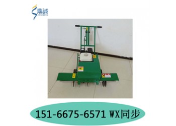陕西西安天然草坪移植划线机