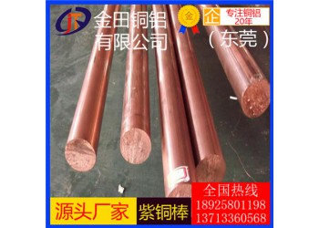 t4紫铜棒，c1100优质半硬紫铜棒-t2可拉伸紫铜棒