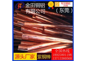 t4紫铜棒*高品质t1耐腐蚀紫铜棒，t5镀锡紫铜棒