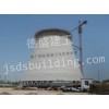 新建电厂烟囱/江苏德盛集团