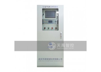 天禹智控TY-8300煤气在线分析系统