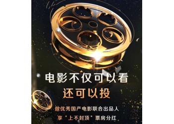 《误杀2》投资份额认购结束了吗?个人能参与吗?