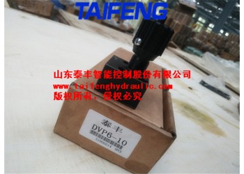 供应泰丰DRVP6-10板式单向节流阀