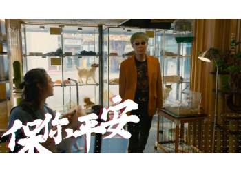 电影《保你平安》投资5W能赚多少?怎么个人投资?