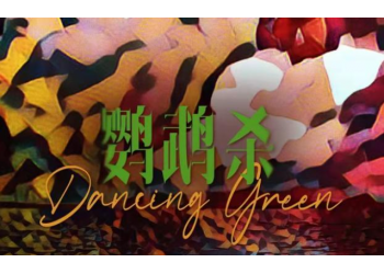 《鹦鹉杀》开拍了吗?何时上映?什么时候可以投资?