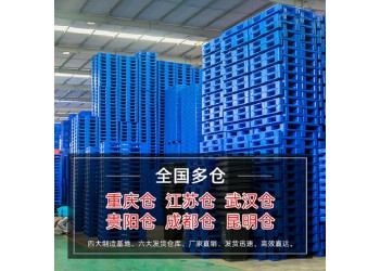 1210川字塑料托盘_防潮耐腐叉车托盘_重庆厂家