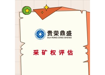 成都市成华区专利价值评估无形资产怎么评估价值