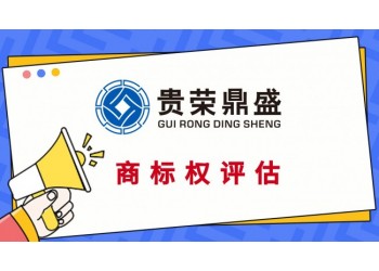 湖北省武汉市专利评估公司无形资产怎么评估电影版权评估