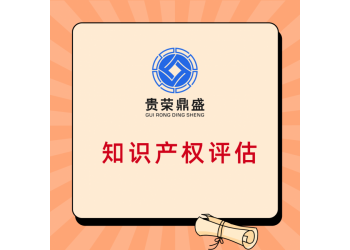 湖南省岳阳市影视版权评估入资专利评估机构有哪些软著权评估
