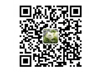 电影外太空的莫扎特投资价值如何?怎么投资?