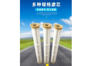 粉体回收除尘滤筒/替代布袋式除尘滤芯 粉尘滤筒规格齐全