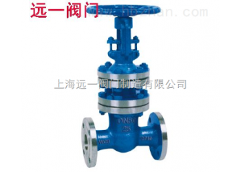 国标波纹管闸阀WZ41H-16C/25/40