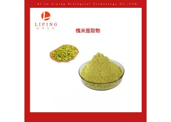 供应槐花提取物 槐米提取物槲皮素95%