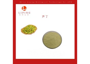 供应槐花提取物 槐花提取物芦丁95%