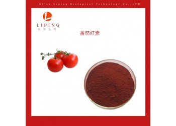 供应植物浓缩粉番茄红素5% 10%