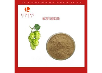 供应植物提取物粉末 啤酒花提取物啤酒花黄酮5%10%
