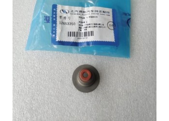凯迪拉克 ATSL XTS XT5 CT6 气门油封