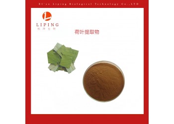 西安栎萍生物供应荷叶提取物荷叶碱1%98%