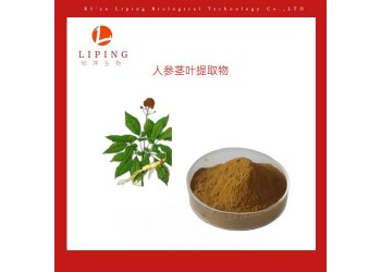 西安栎萍生物推荐人参茎叶提取物人参皂甙80%