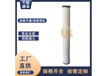 千陆 PZC336-C-CE替代生产派瑞燃气聚结滤芯