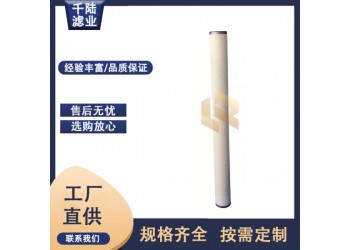 替代PECO派瑞燃气聚结滤芯PZC312CME 千陆生产