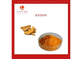 姜黄素价格供应458-37-7姜黄素现货植物提取
