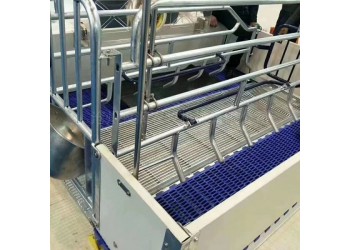 养猪场母猪产床双体产保一体欧式双体产床2.4*3.8