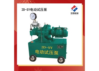 衡水厂家2dsy型号系列试压泵电动打压泵  压力自控电动
