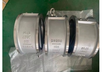 跃正船用脱硫塔双相钢止回阀HDJV17-00
