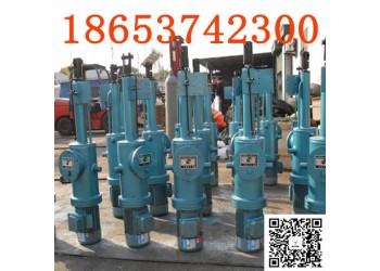 DT700整体直式电动推杆微型平行式电动推杆光滑度高密度高