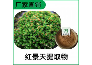 森冉生物 红景天提取物 红景天甙 植物提取原料粉