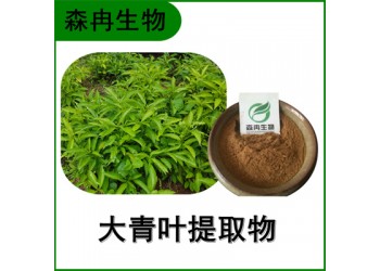 森冉生物 大青叶提取物 臭大青提取物 比例提取原料粉