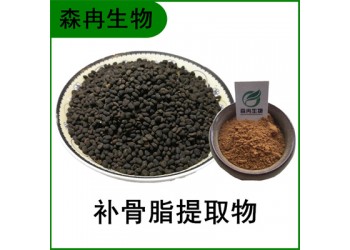 森冉生物 补骨脂提取物 破故纸提取物 比例提取原料粉