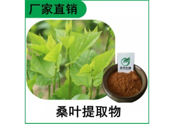森冉生物 桑叶提取物 蚕叶提取物 比例提取原料粉