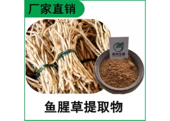 森冉生物 鱼腥草提取物 折耳根提取物 比例提取原料粉