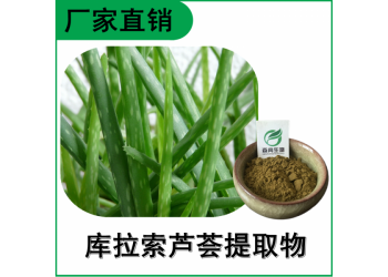 森冉生物 芦荟提取物 芦荟甙 库拉索芦荟粉 植物提取原料粉