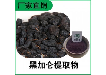 森冉生物 黑加仑提取物 黑加仑粉 比例提取原料粉