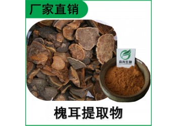 森冉生物 槐耳提取物 槐菌提取物 槐耳多糖