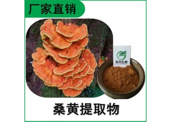 森冉生物 桑黄提取物 桑黄多糖 桑耳提取物