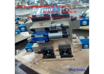 泰丰智能YN32-100FBCV二通插装阀电压可选产地货源