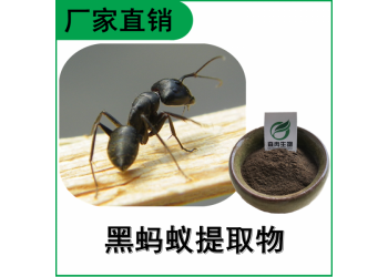 森冉生物 黑蚂蚁提取物 黑蚂蚁粉  比例提取原料粉
