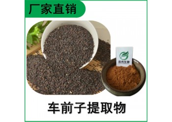 森冉生物 车前子提取物 车前实提取物 比例提取原料粉