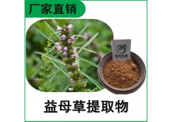 森冉生物 益母草提取物 茺蔚提取物 植物提取原料粉
