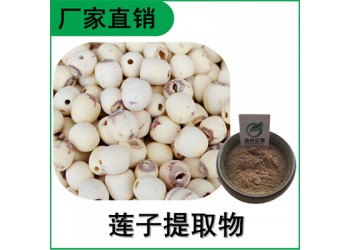 森冉生物 莲子提取物 莲实提取物 比例提取原料粉
