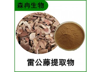 森冉生物 雷公藤提取物 黄藤根提取物 比例提取原料粉