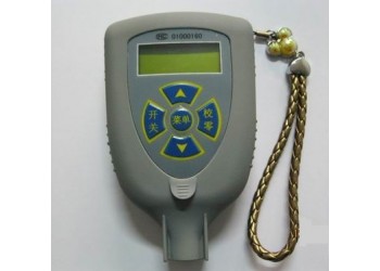 石家庄测厚仪TT2600双功能铁铝一体机