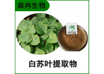 森冉生物 白苏叶提取物 荏叶提取物 比例提取原料粉