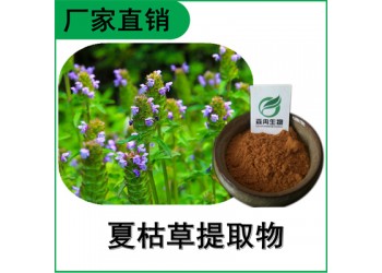 森冉生物 夏枯草提取物 夏枯草浓缩粉 比例提取原料粉