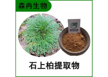 森冉生物 石上柏提取物 梭罗草提取物 比例提取原料粉