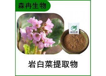 森冉生物 岩白菜提取物 石白菜提取物 比例提取原料粉